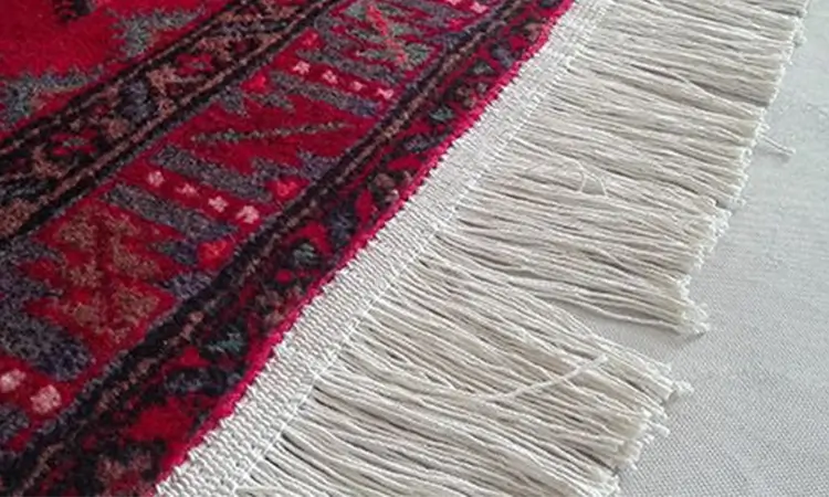 ریشه زنی (2)